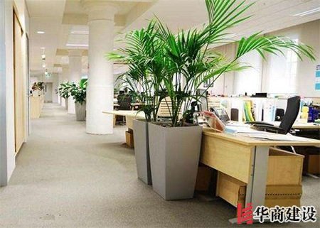 辦公室裝修的五大原則，原來要這樣設(shè)計(jì)！