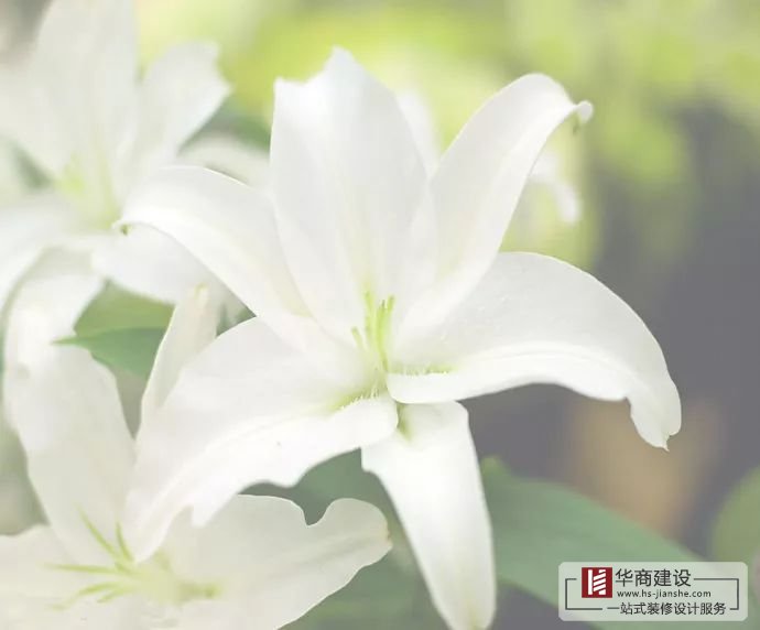 裝修不將就，廣州大型公裝家裝公司更注重細節(jié)