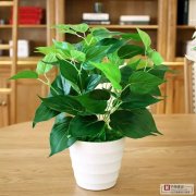 辦公室裝修設(shè)計(jì)中的降噪應(yīng)該怎樣處理