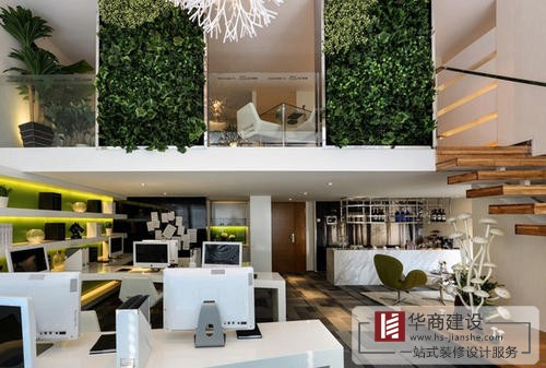 辦公室裝修中綠植是不可或缺的！為什么呢？